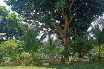 Pangsapuri Jubli Perak