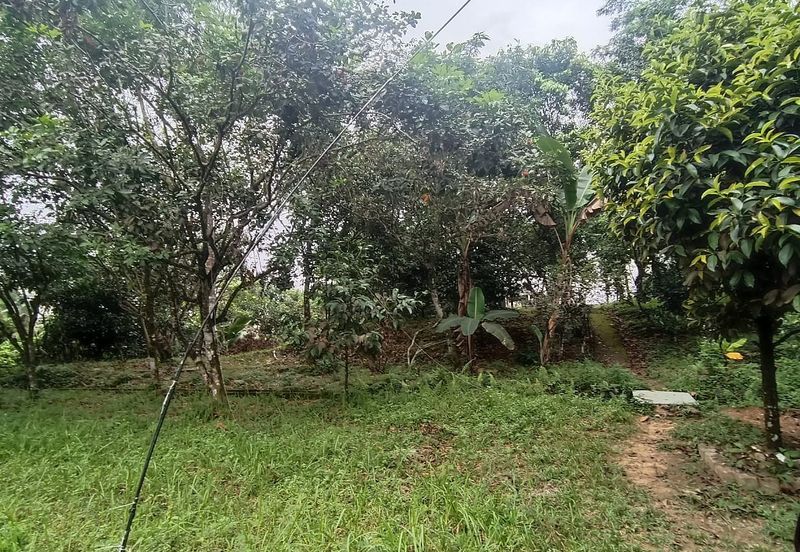 Tanah Pertanian Sungai Samak, Rawang sebelah simpol garden