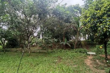 Tanah Pertanian Sungai Samak, Rawang sebelah simpol garden