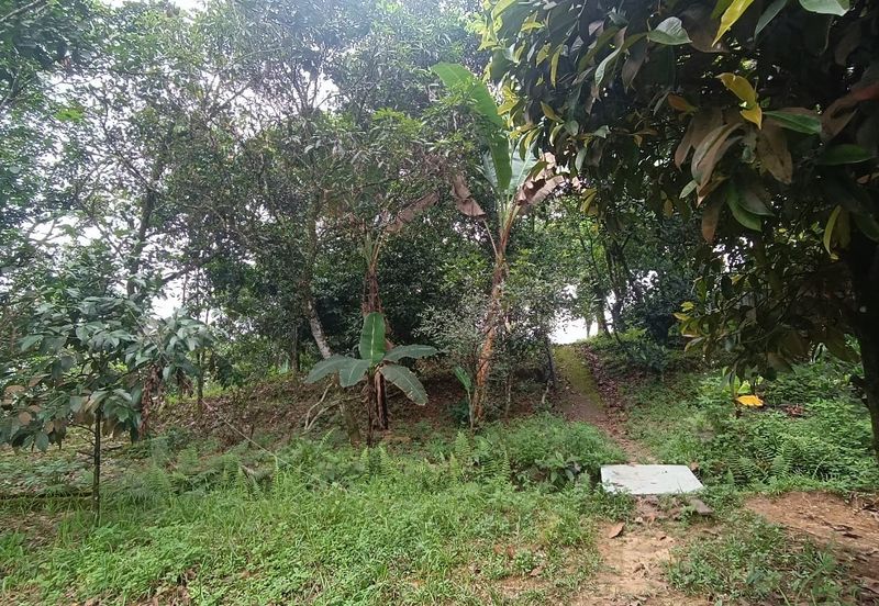 Tanah Pertanian Sungai Samak, Rawang sebelah simpol garden