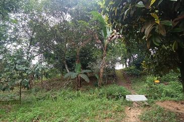 Tanah Pertanian Sungai Samak, Rawang sebelah simpol garden