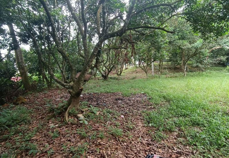 Tanah Pertanian Sungai Samak, Rawang sebelah simpol garden