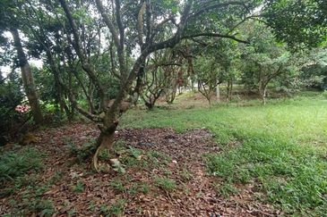 Tanah Pertanian Sungai Samak, Rawang sebelah simpol garden