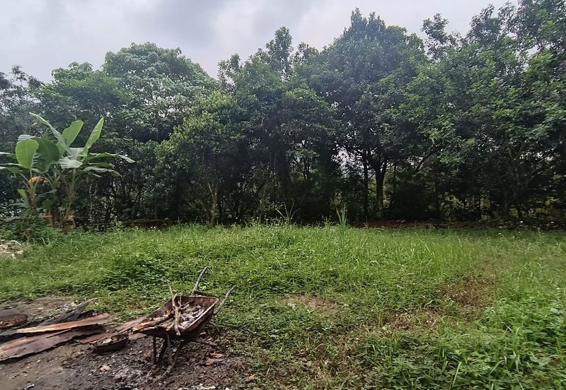 Tanah Pertanian Sungai Samak, Rawang sebelah simpol garden