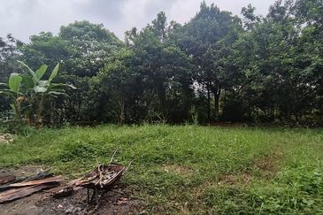 Tanah Pertanian Sungai Samak, Rawang sebelah simpol garden