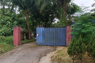 Tanah Pertanian Sungai Samak, Rawang sebelah simpol garden