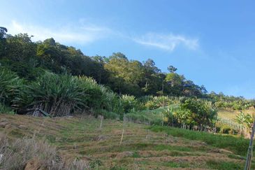 Tanah Pertanian Geran Individu, Bukit Tinggi