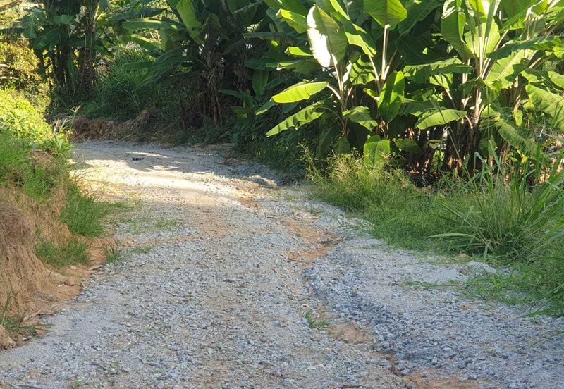 Tanah Pertanian Geran Individu, Bukit Tinggi