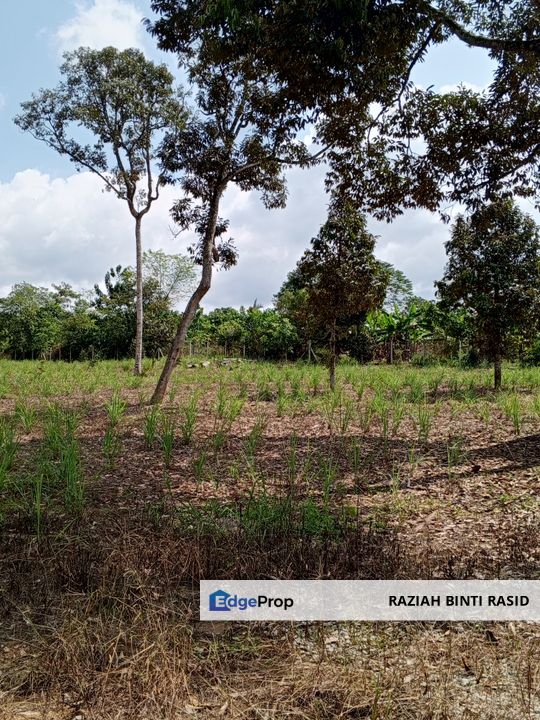 Rumah Dan Tanah Pertanian Lenggeng ada pokok buah , Negeri Sembilan, Seremban