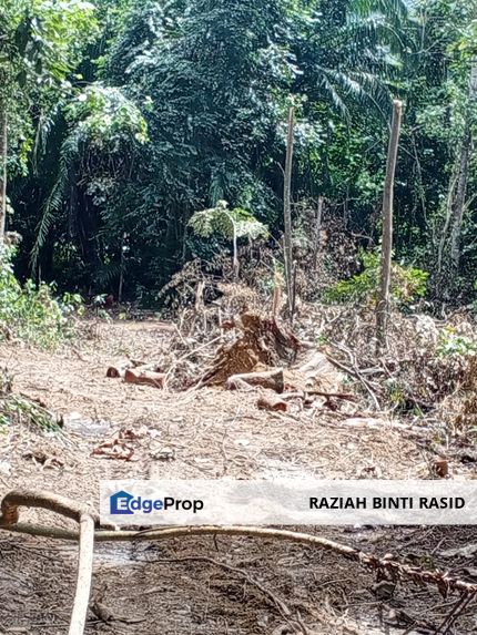 Tanah Pertanian Kg Lambar, Labu Nilai , Negeri Sembilan, Labu