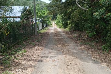 Tanah Pertanian Kg Lambar, Labu Nilai 