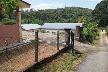 Tanah Pertanian Kg Lambar, Labu Nilai 