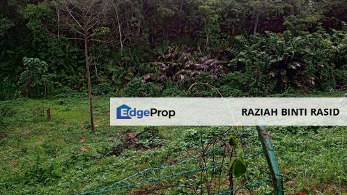 Tanah Pertanian Geran Individu Lenggeng, Negeri Sembilan, Seremban