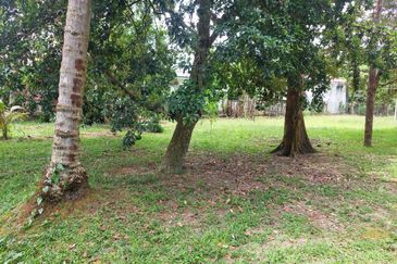 Tanah Pertanian ada rumah di Pelagong, Labu N9