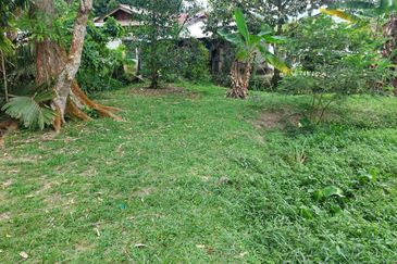 Tanah Pertanian ada rumah di Pelagong, Labu N9