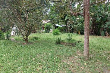 Tanah Pertanian ada rumah di Pelagong, Labu N9