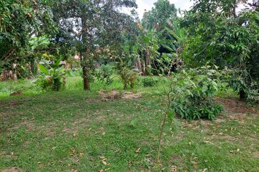 Tanah Pertanian ada rumah di Pelagong, Labu N9
