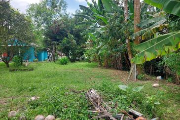 Tanah Pertanian ada rumah di Pelagong, Labu N9