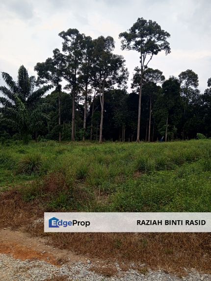 Tanah Pertanian Tepi Jalan Utama, Lenggeng, Negeri Sembilan, Seremban