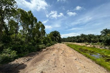 Tanah Pertanian Nusa Dusun, Melaka Geran Individu