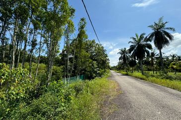 Tanah Pertanian Nusa Dusun, Melaka Geran Individu