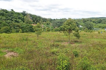 Tanah Kebun Durian Geran Individu, Labu Negeri Sembilan