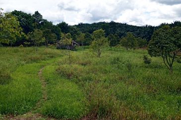 Tanah Kebun Durian Geran Individu, Labu Negeri Sembilan