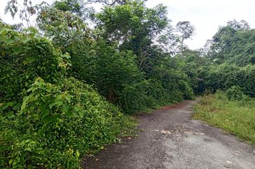 Tanah Pertanian Geran Individu, Tepi Jalan Kampung, Lambar, Labu N.9
