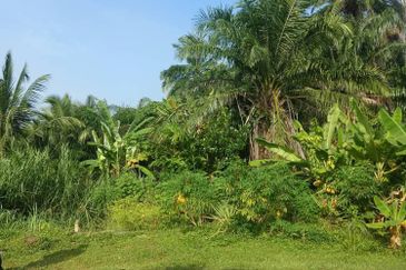 2.4acre NONBUMI Agricultural Land @ Taman PAHLAWAN Telok Panglima Garang