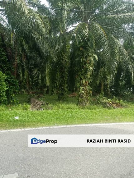 1st layer NONBUMI Kuala Langat land, Individual Title, Selangor, Banting