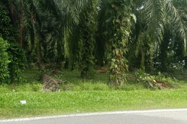 1st layer NONBUMI Kuala Langat land, Individual Title