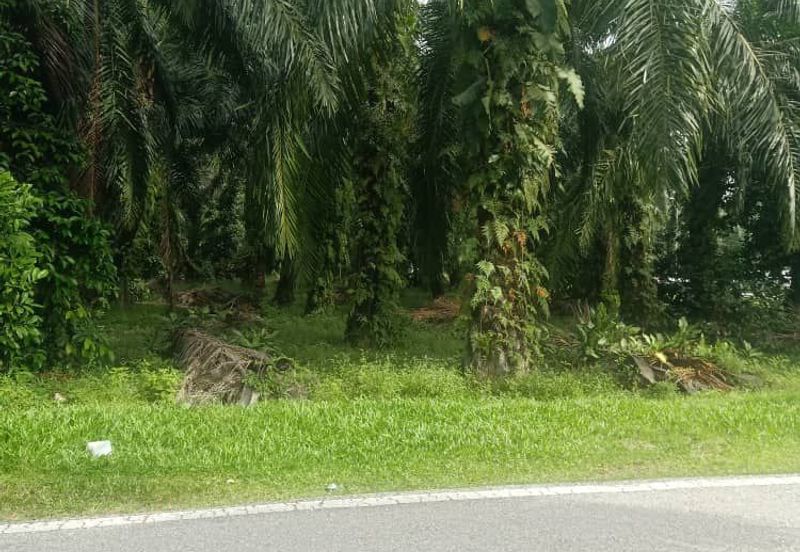1st layer NONBUMI Kuala Langat land, Individual Title