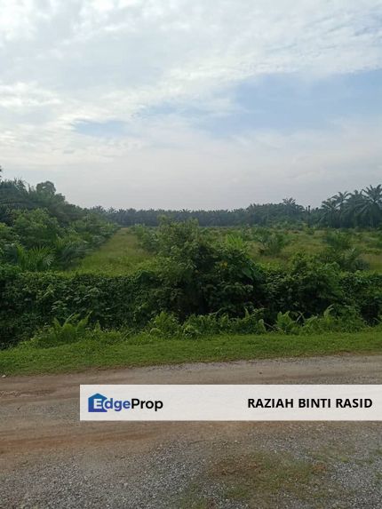 Agriculture Land, 5 Acre, KUALA LANGAT, Selangor, Selangor, Banting
