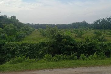Agriculture Land, 5 Acre, KUALA LANGAT, Selangor