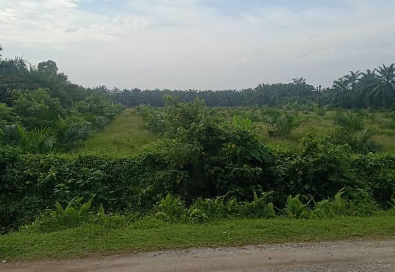 Agriculture Land, 5 Acre, KUALA LANGAT, Selangor