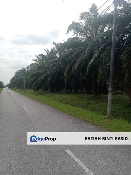 5 Ekar Tanah Freehold Non Bumi di Kelanang, Kuala Langat., Selangor, Banting