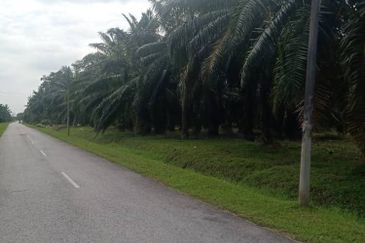 5 Ekar Tanah Freehold Non Bumi di Kelanang, Kuala Langat.