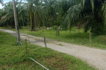 5 Ekar Tanah Freehold Non Bumi di Kelanang, Kuala Langat.