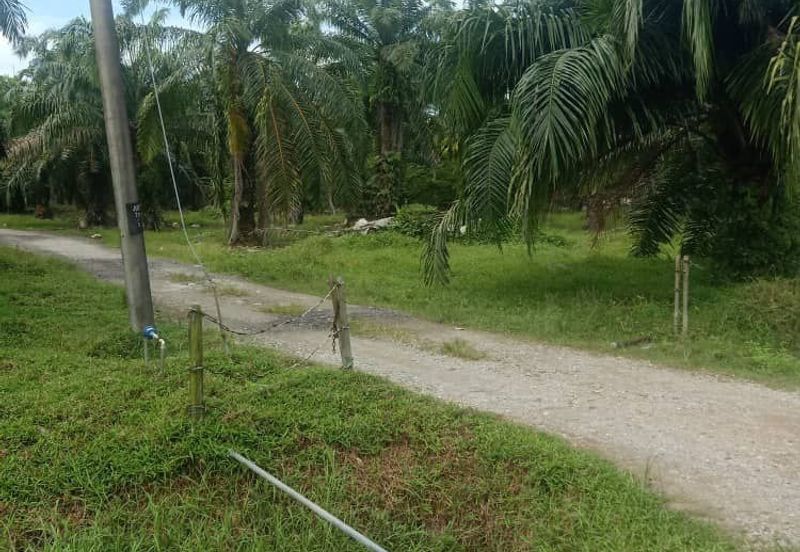 5 Ekar Tanah Freehold Non Bumi di Kelanang, Kuala Langat.