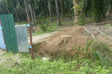 2.5 Ekar Tanah Freehold di Kelanang, Kuala Langat.