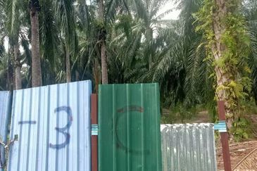 2.5 Ekar Tanah Freehold di Kelanang, Kuala Langat.