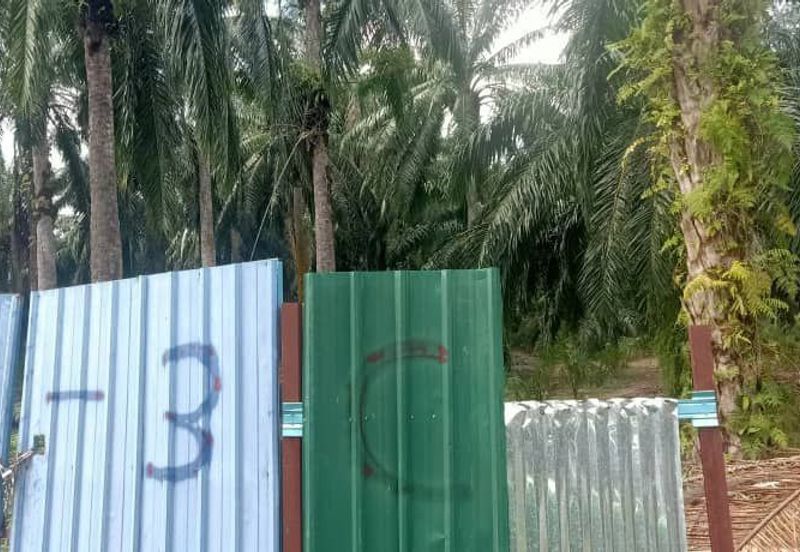 2.5 Ekar Tanah Freehold di Kelanang, Kuala Langat.