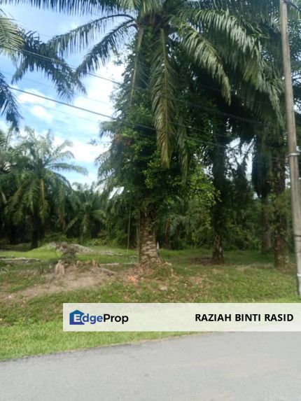 2.5 Ekar Tanah Freehold di Kelanang, Kuala Langat., Selangor, Banting