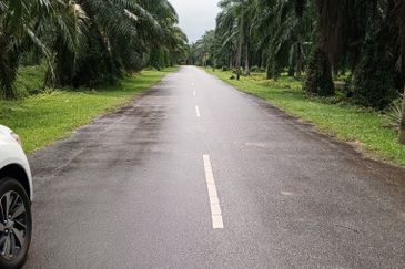 2.5 Ekar Tanah Freehold di Kelanang, Kuala Langat.