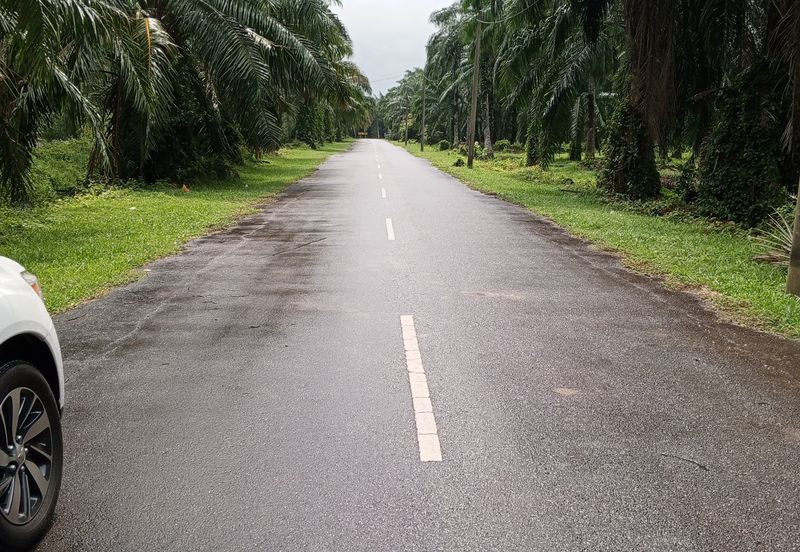 2.5 Ekar Tanah Freehold di Kelanang, Kuala Langat.