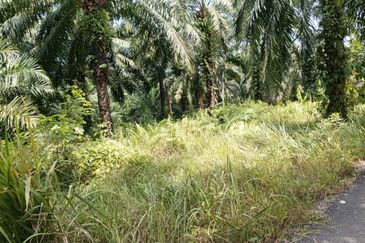 Tanah Lot Banglo yang luas di Pelabohan Dagang Berdekatan KLIA