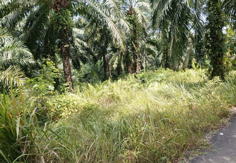 Tanah Lot Banglo yang luas di Pelabohan Dagang Berdekatan KLIA