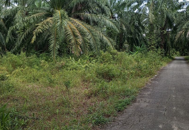 Tanah Lot Banglo yang luas di Pelabohan Dagang Berdekatan KLIA