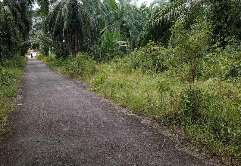 Tanah Lot Banglo yang luas di Pelabohan Dagang Berdekatan KLIA