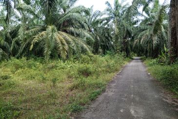 Tanah Lot Banglo yang luas di Pelabohan Dagang Berdekatan KLIA
